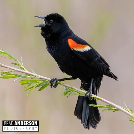 $115,000 | 315-xx 315-xx Leaf River Road, Ottertail, MN 56571