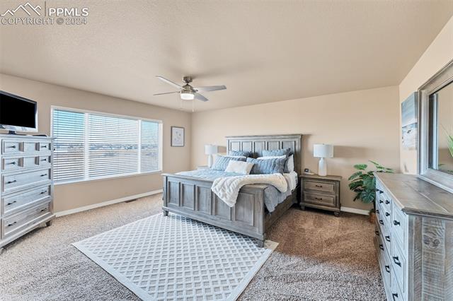 2015 Reed Grass Way Colorado Springs, CO 80915 - Photo 9 of 16 Primary Suite