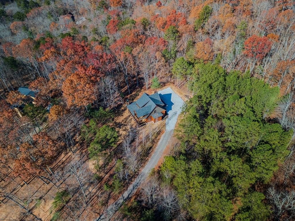 322 Ridge Brook Drive Morganton, GA 30560 - Photo 46 of 48 Gallery Image 46