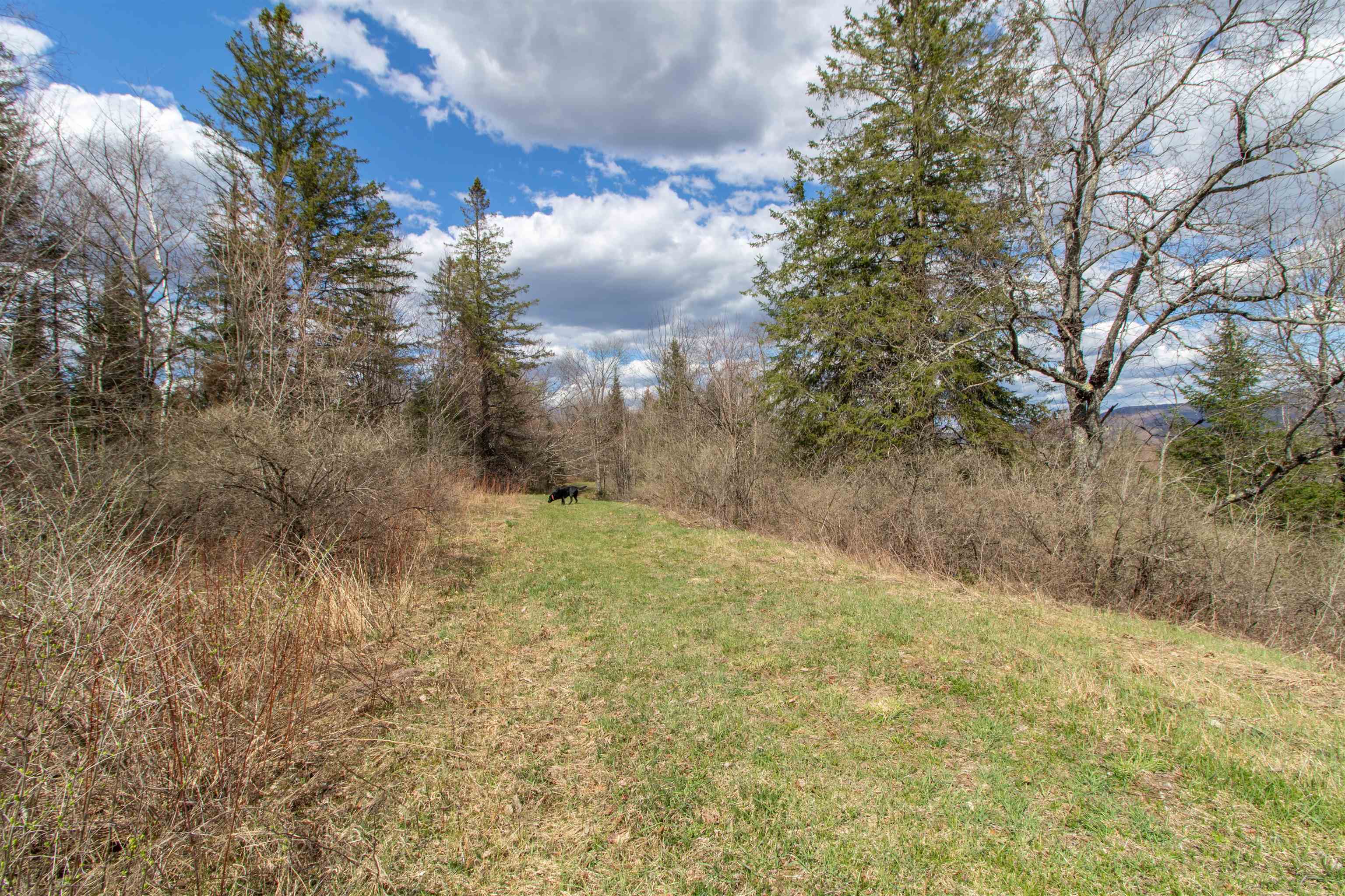 0 East Darling Hill Road West Burke, VT 05871 - Photo 11 of 34