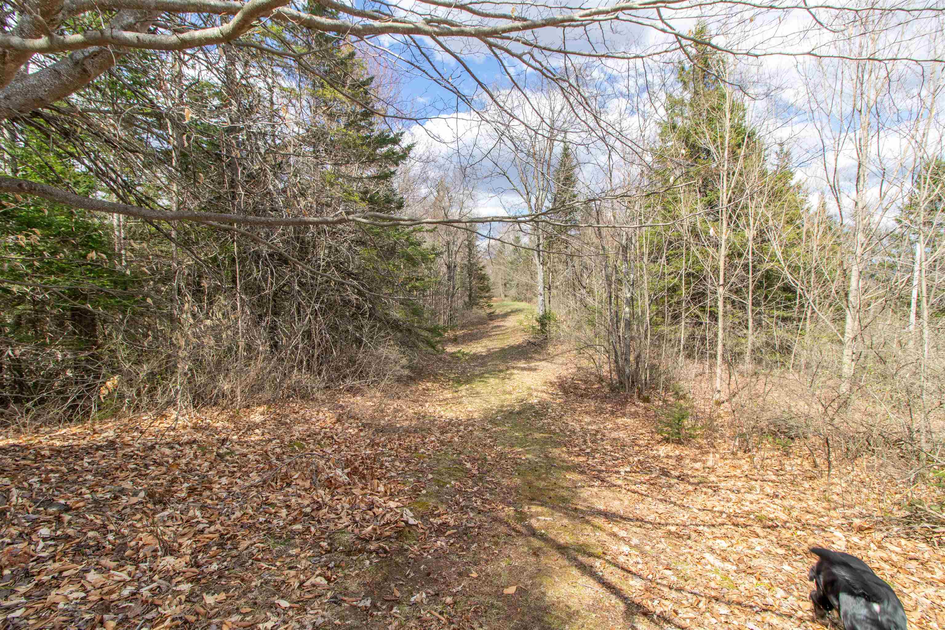 0 East Darling Hill Road West Burke, VT 05871 - Photo 14 of 34