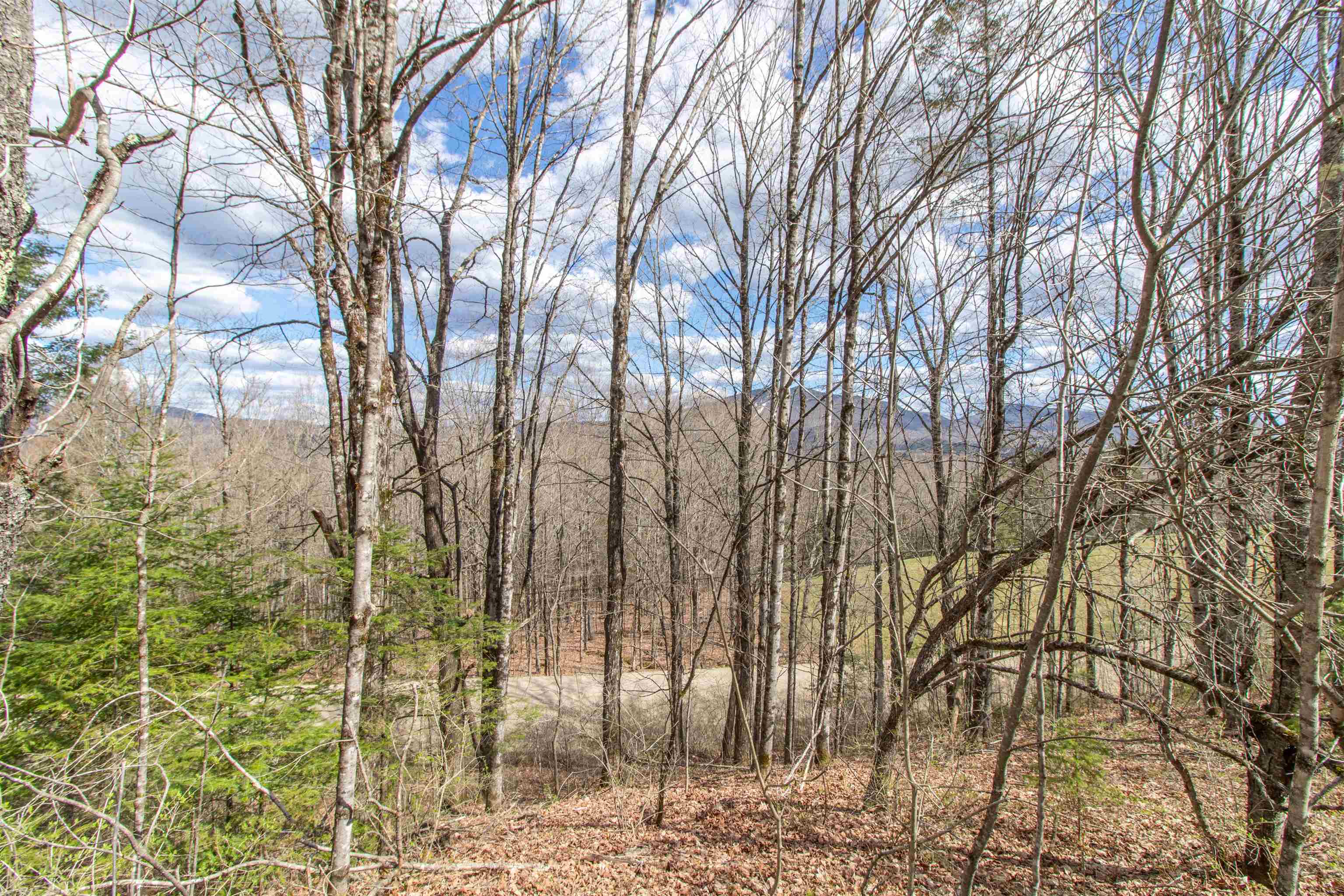 0 East Darling Hill Road West Burke, VT 05871 - Photo 22 of 34