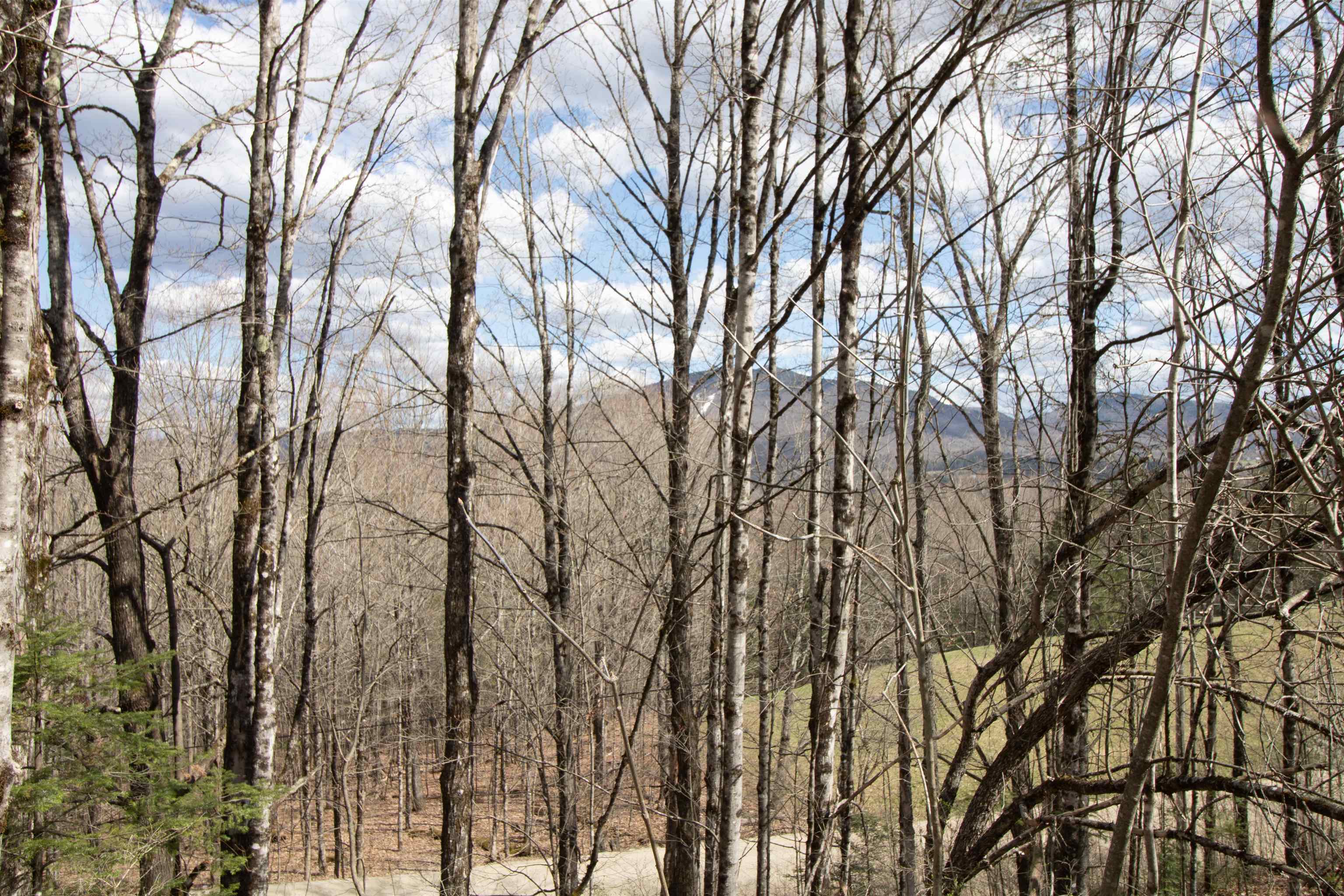 0 East Darling Hill Road West Burke, VT 05871 - Photo 23 of 34