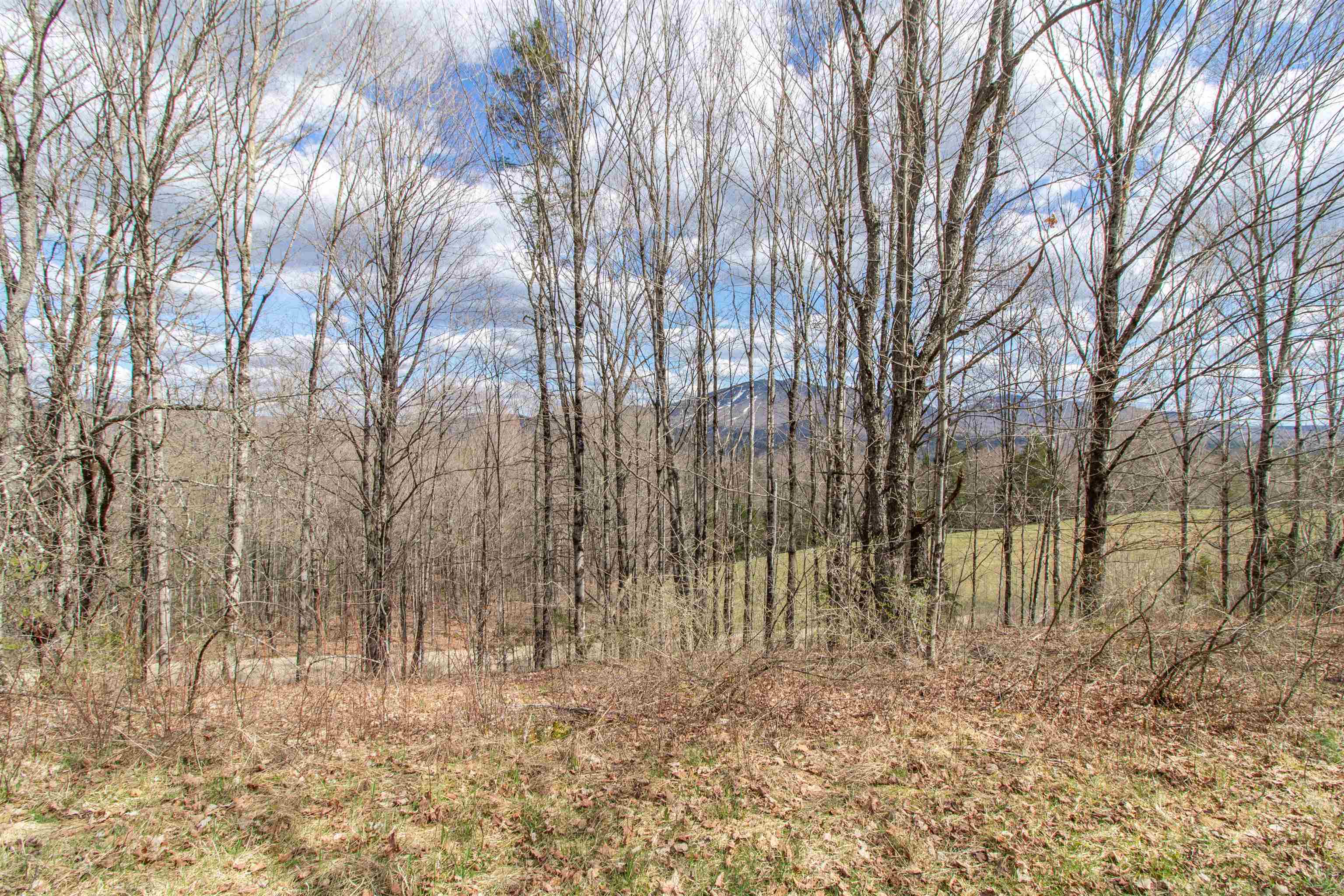 0 East Darling Hill Road West Burke, VT 05871 - Photo 25 of 34