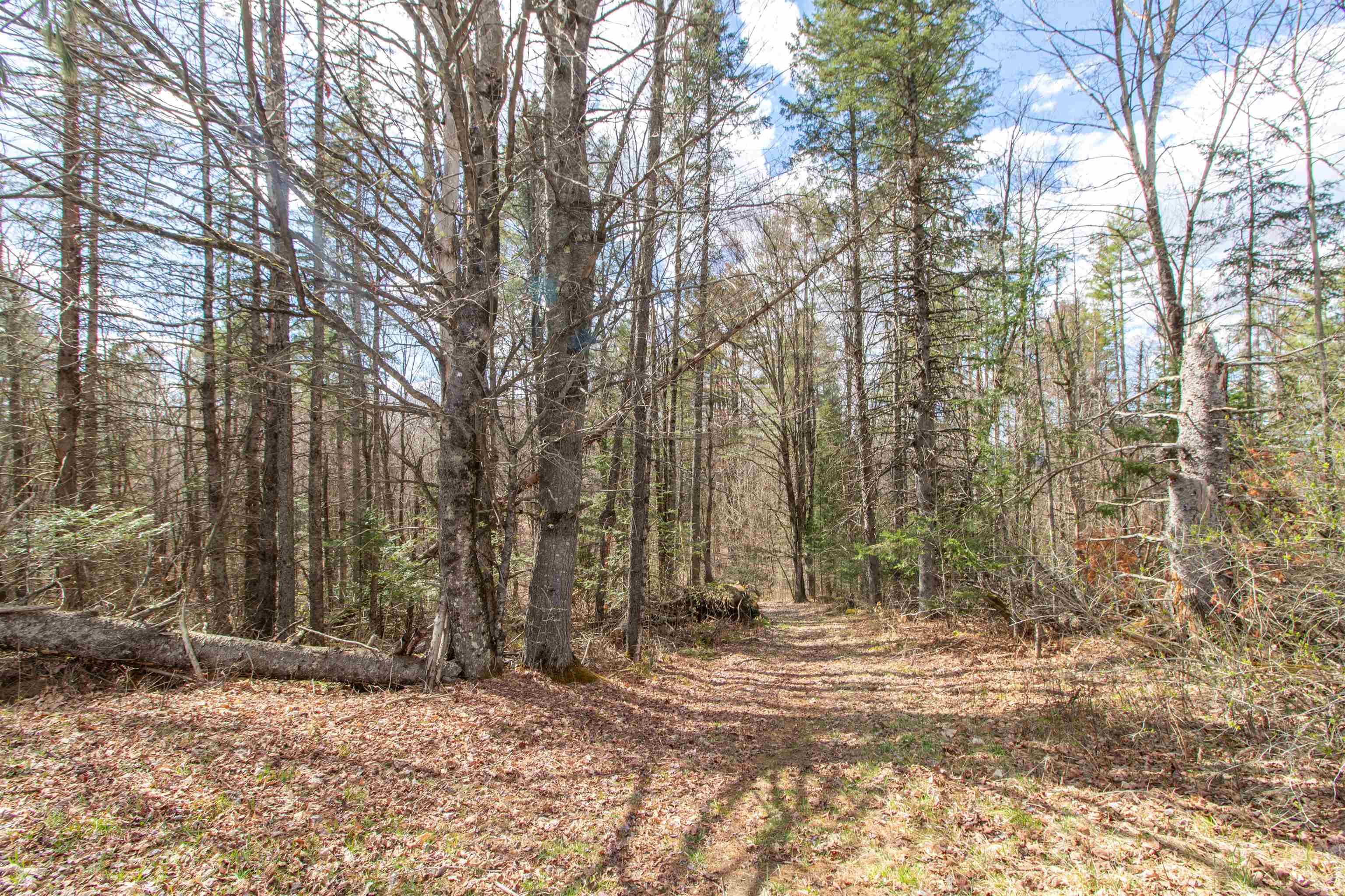 0 East Darling Hill Road West Burke, VT 05871 - Photo 26 of 34