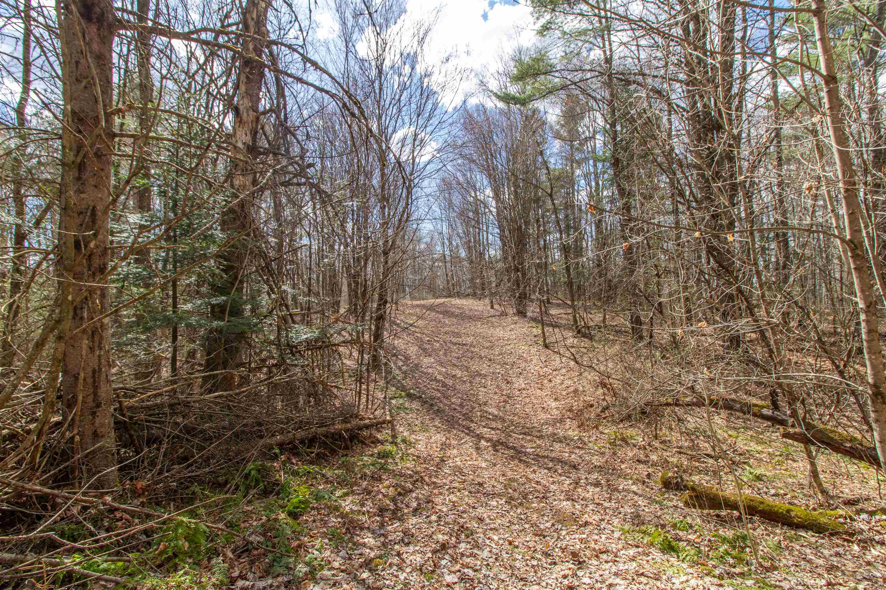 0 East Darling Hill Road West Burke, VT 05871 - Photo 27 of 34