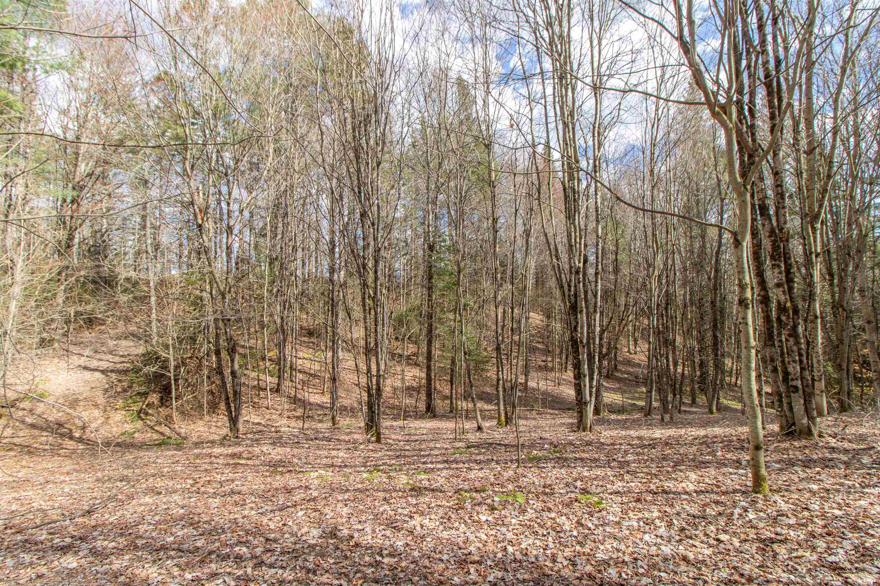 0 East Darling Hill Road West Burke, VT 05871 - Photo 29 of 34