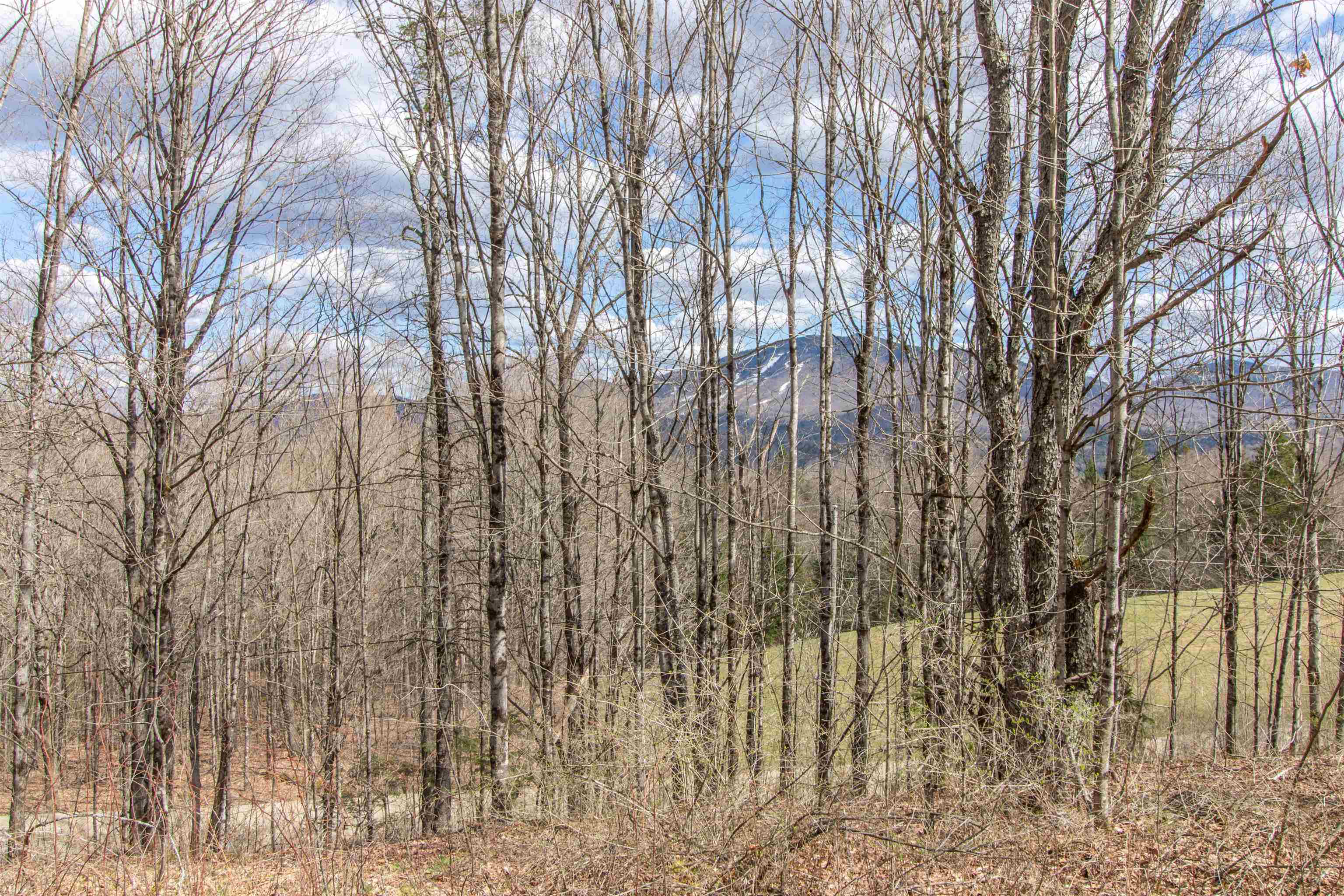 0 East Darling Hill Road West Burke, VT 05871 - Photo 5 of 34