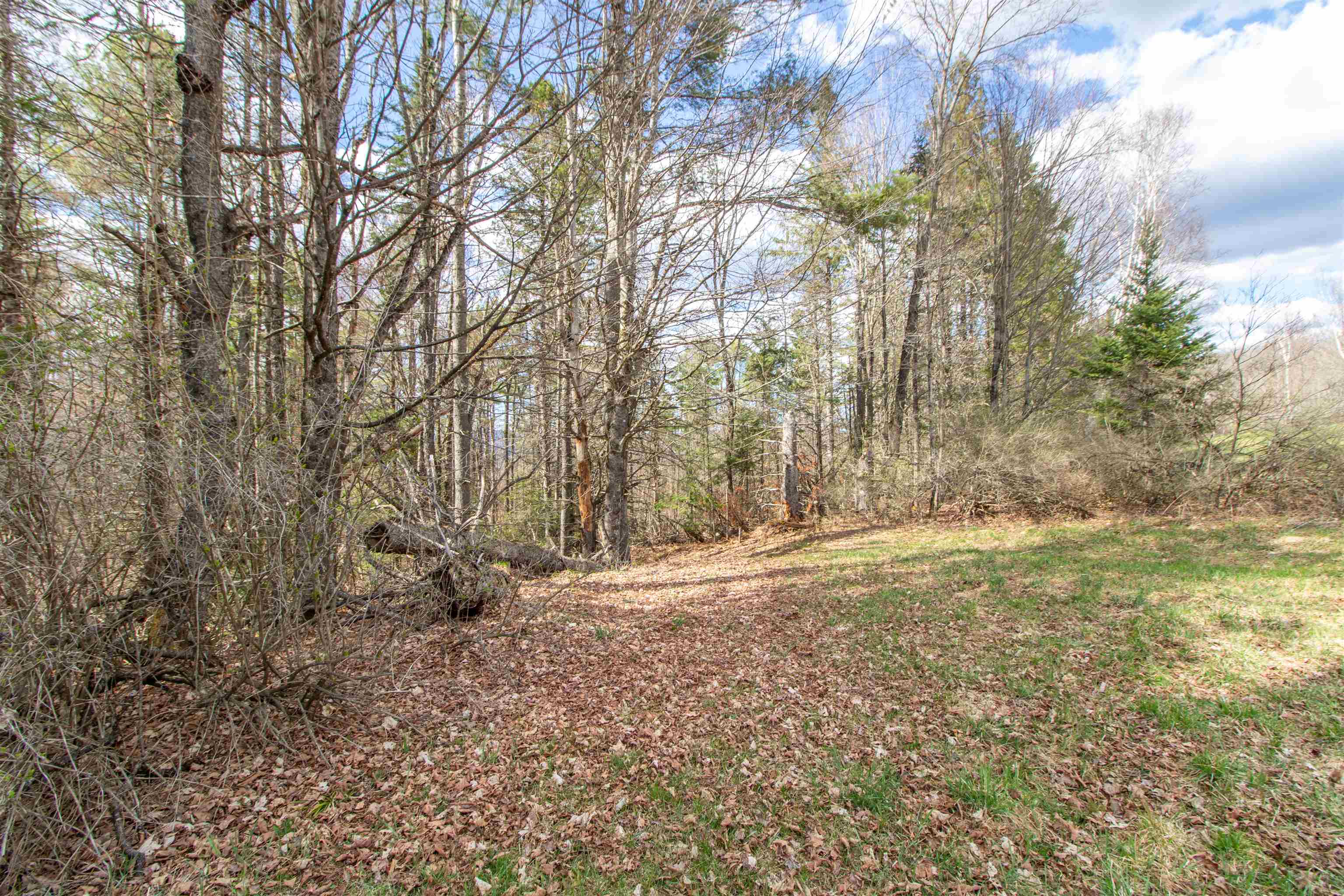 0 East Darling Hill Road West Burke, VT 05871 - Photo 6 of 34