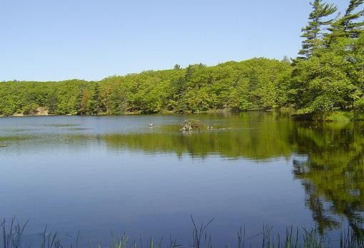 North Ridgeview Court Ludington, MI 49431 - Photo 8 of 12 Hamlin Lake - summer