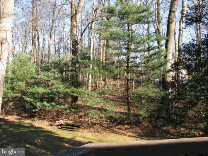 14709 Harold Road Silver Spring, MD 20905 - Photo 2 of 12 backyard