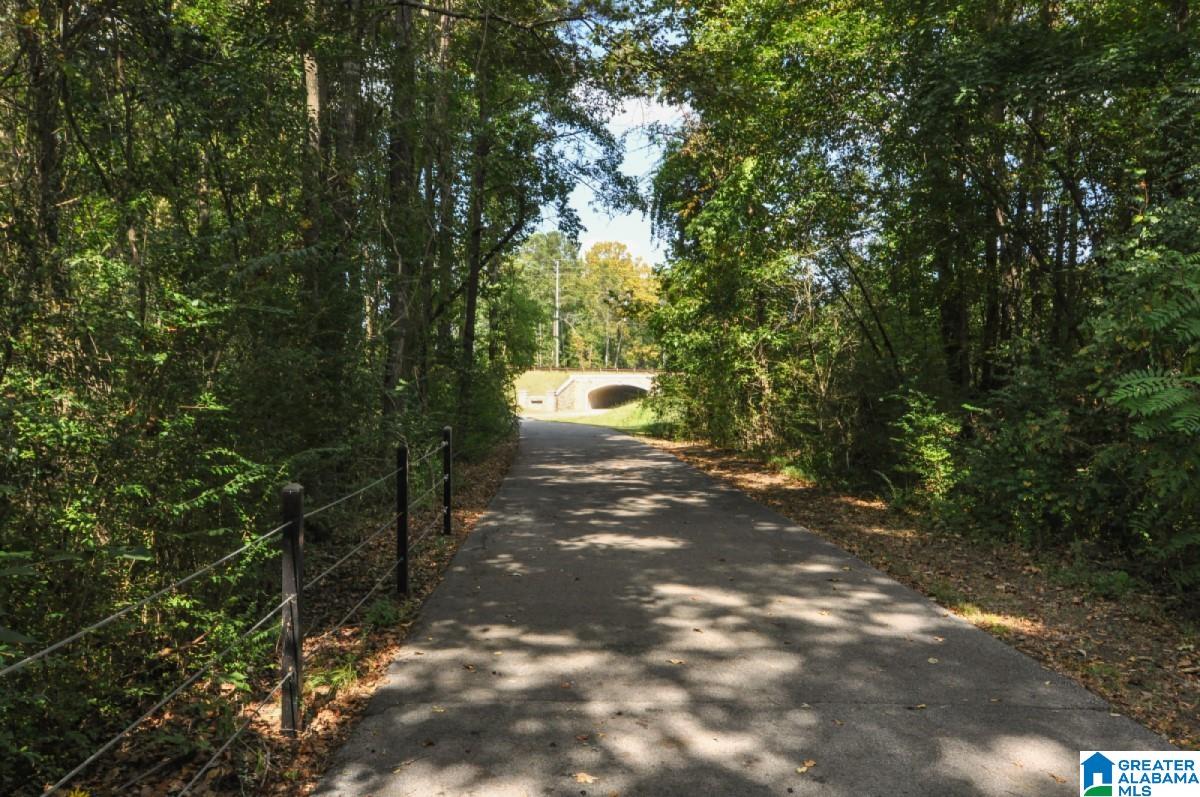 169 Barimore Boulevard Helena, AL 35080 - Photo 53 of 59