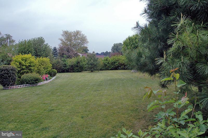 176 Petersburg Road Lancaster, PA 17601 - Photo 3 of 19 a view of a garden with a lake