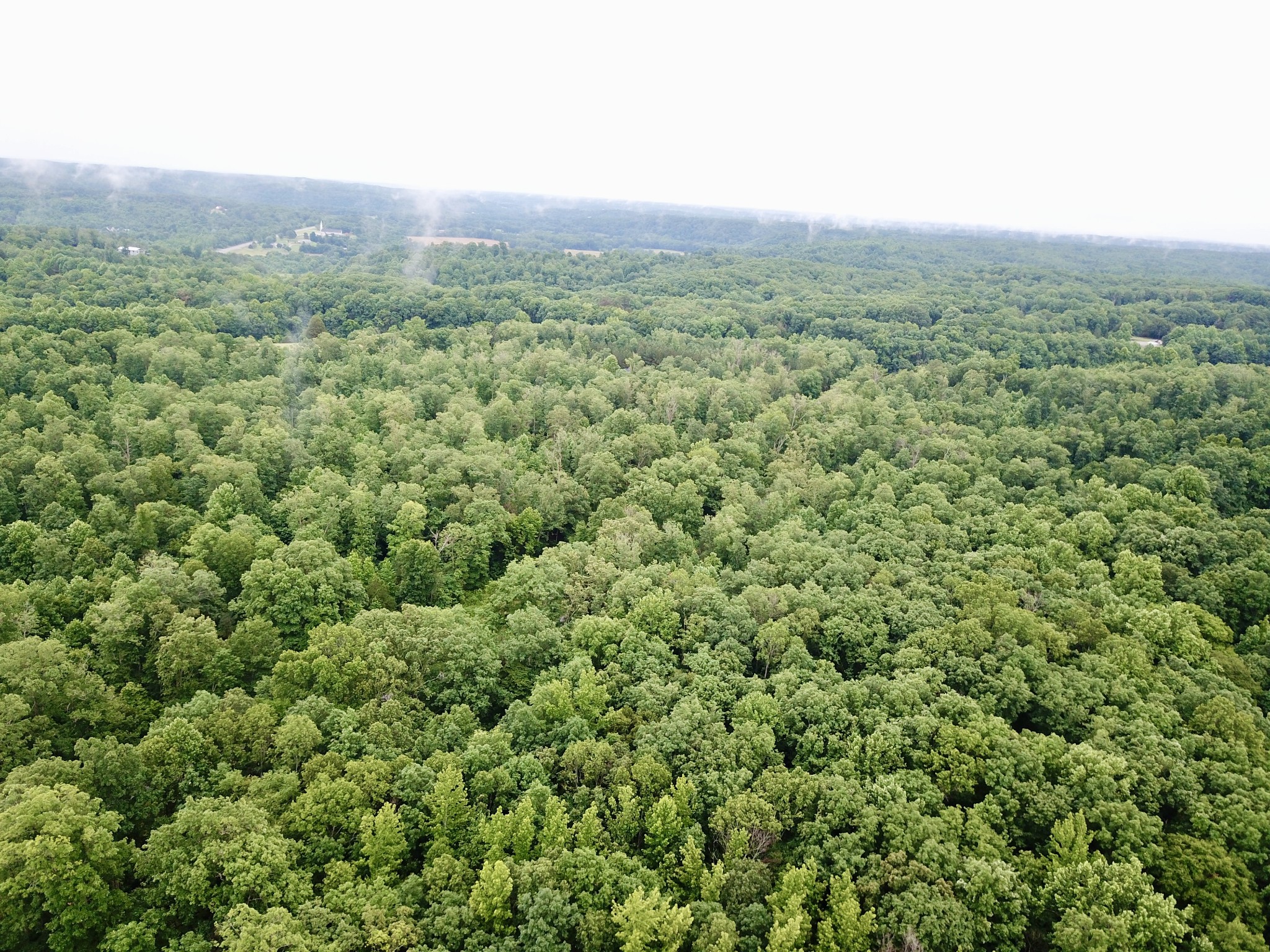 929 Mason Bates Bend Road Centerville, TN 37033 - Photo 8 of 22 Gallery Image 8