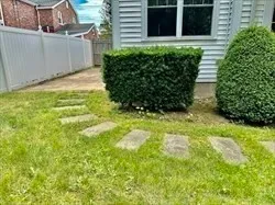 a view of a backyard