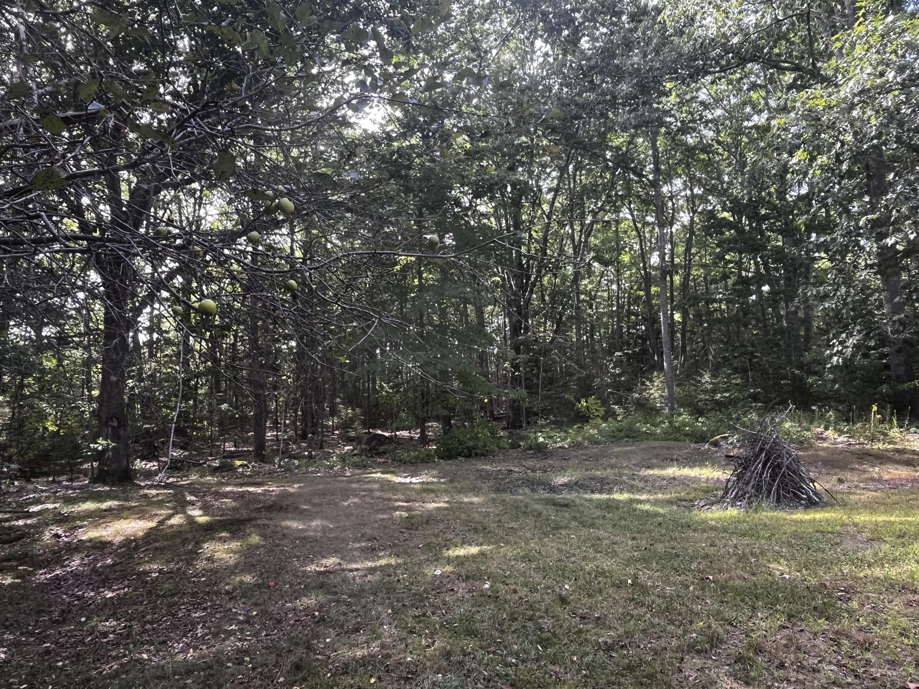 117 North Bend Road Ellsworth, ME 04605 - Photo 33 of 34 Private rear yard