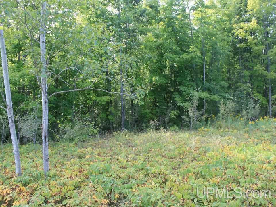 Tbd Shepards Ridge Road Lake Linden, MI 49945 - Photo 22 of 27 Gallery Image 22