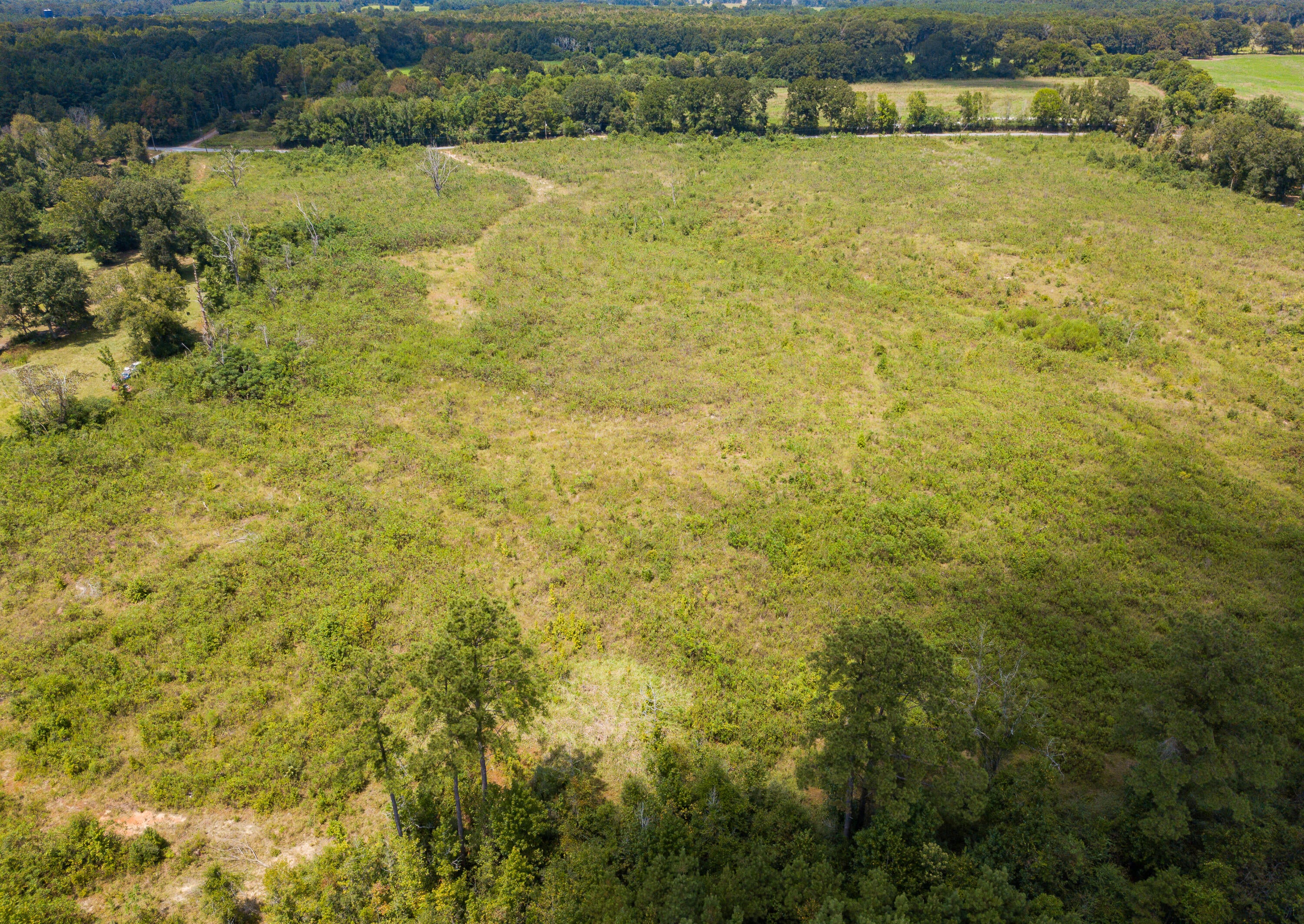 0 Henry Smith Road Tylertown, MS 39667 - Photo 20 of 32 Gallery Image 20