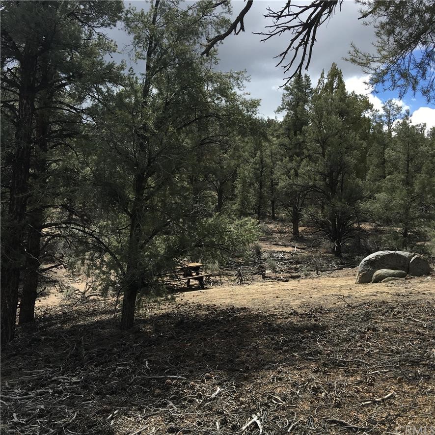 0 Sacatar Ranch Road Inyokern, CA 93527 - Photo 1 of 1 Gallery Image 1