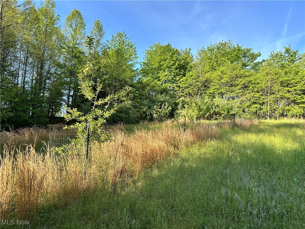 0 Layman Road Vincent, OH 45784 - Photo 17 of 28 View of local wilderness