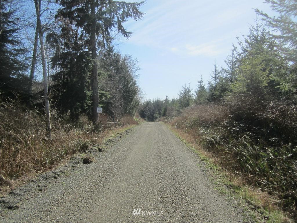 26 Sea Home Road Quilcene, WA 98376 - Photo 3 of 12