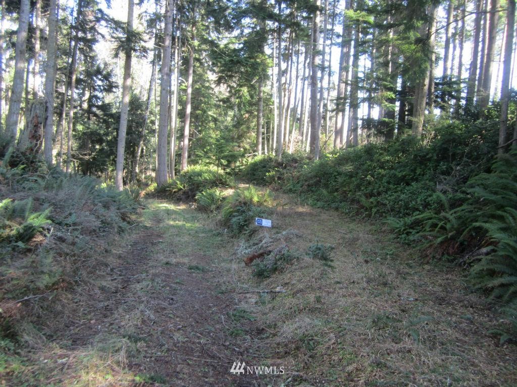 26 Sea Home Road Quilcene, WA 98376 - Photo 4 of 12