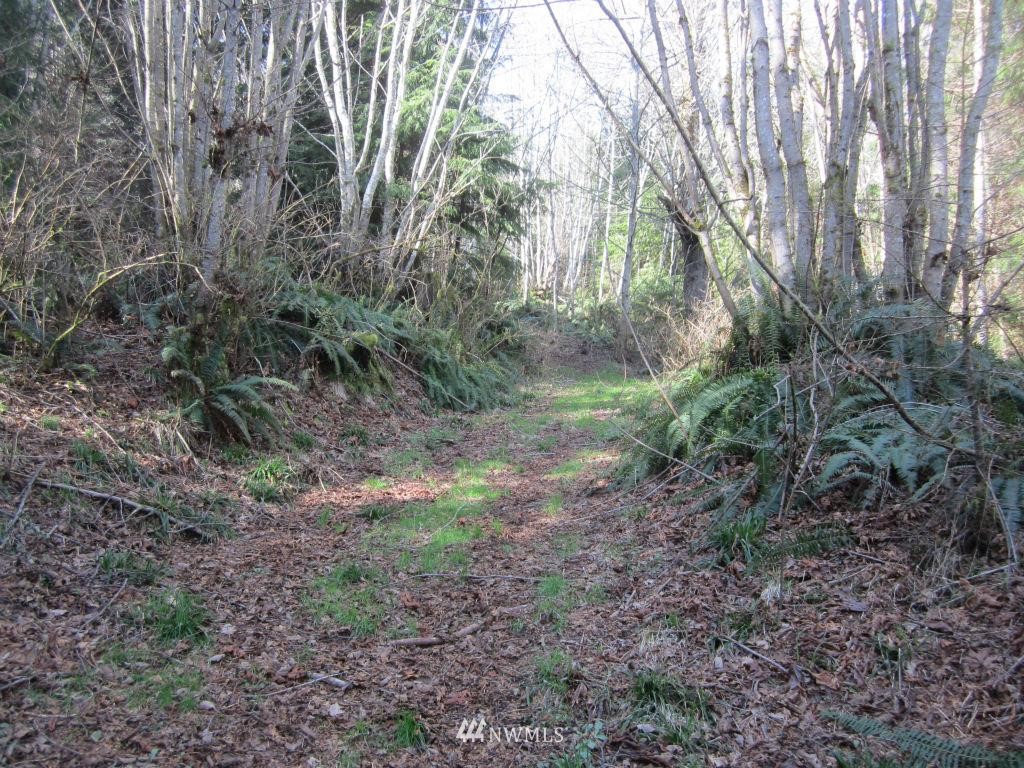 26 Sea Home Road Quilcene, WA 98376 - Photo 5 of 12