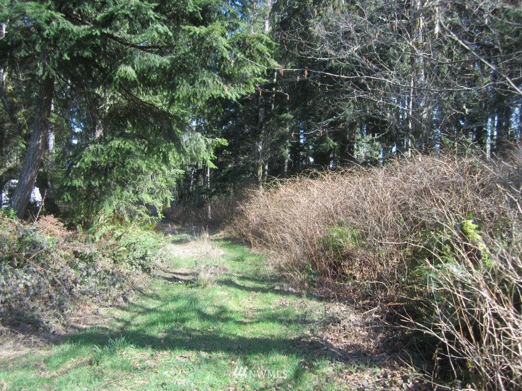 26 Sea Home Road Quilcene, WA 98376 - Photo 8 of 12