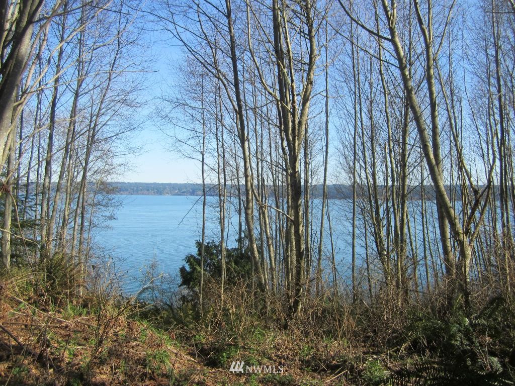 26 Sea Home Road Quilcene, WA 98376 - Photo 9 of 12