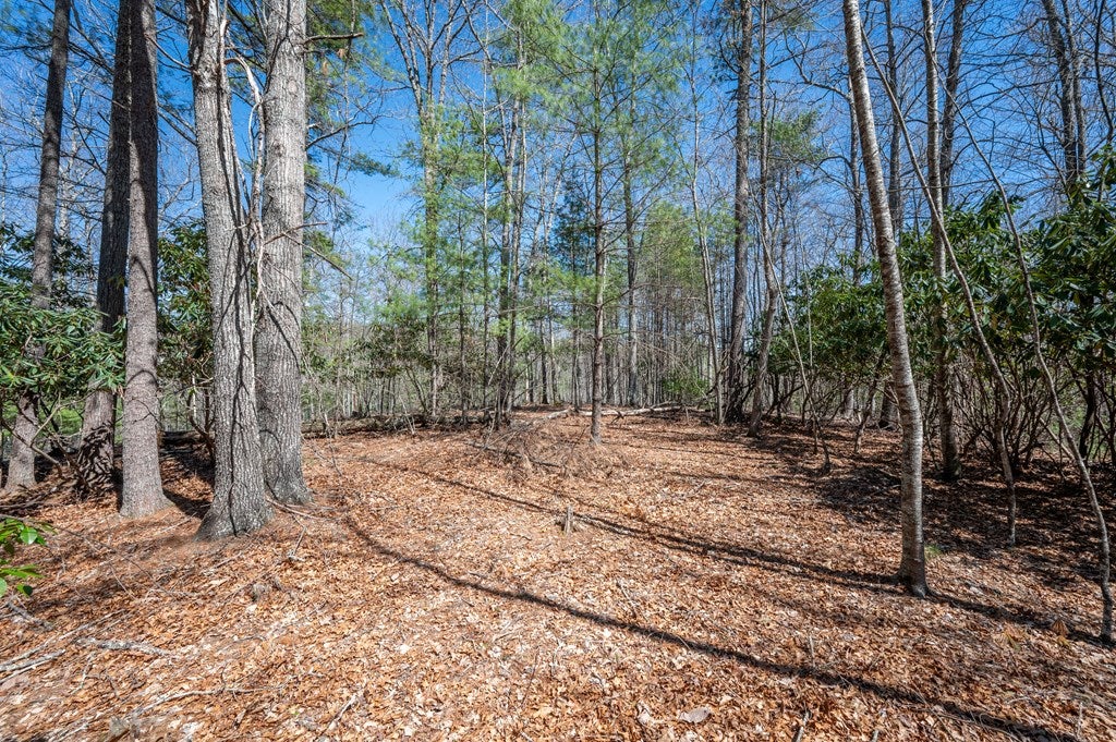 Lot 12 Ridge Line Trail, Unit 12 Independence, VA 24348 - Photo 27 of 66 Gallery Image 27