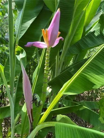 $358,000 | 20213 Narrow Road, Covington, LA 70435