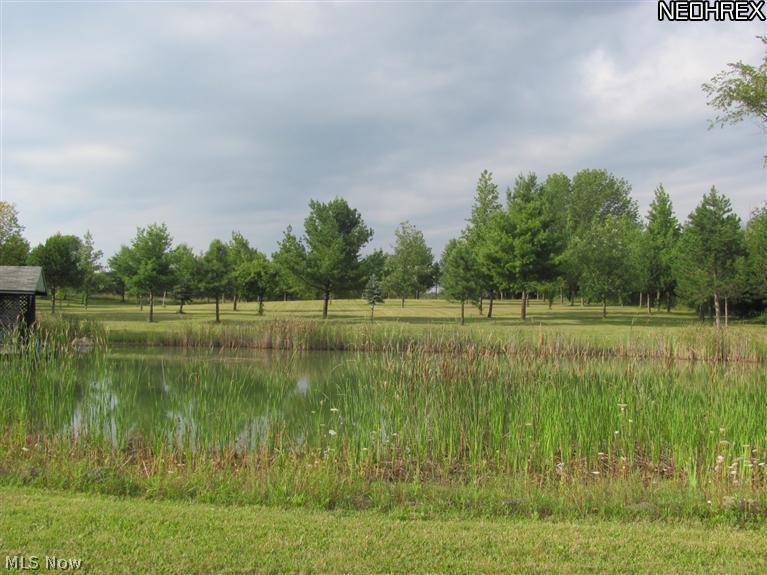 7325 Egypt Road Medina, OH 44256 - Photo 10 of 20 Gallery Image 10