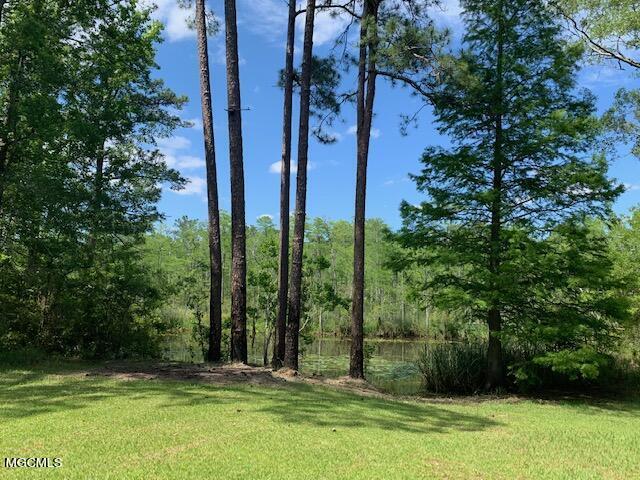 9044 Graham Road Moss Point, MS 39562 - Photo 25 of 30 IMG_6459