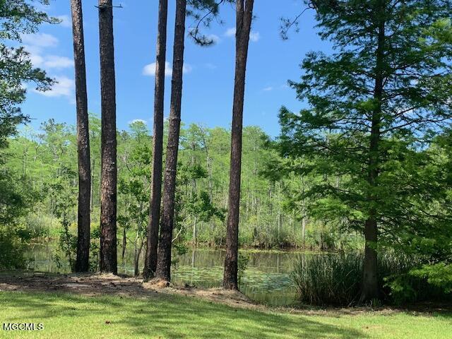 9044 Graham Road Moss Point, MS 39562 - Photo 26 of 30 IMG_6460