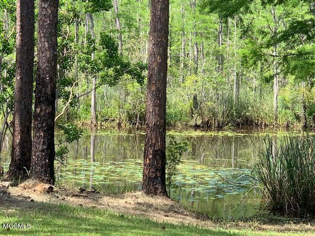 9044 Graham Road Moss Point, MS 39562 - Photo 28 of 30 IMG_6462