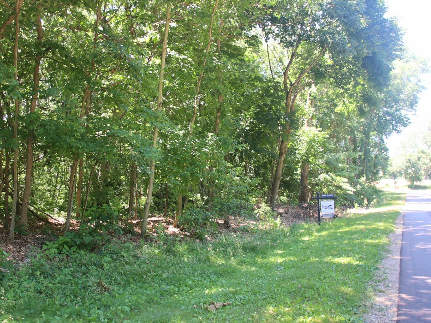4 Limberlost Road Three Rivers, MI 49093 - Photo 3 of 9 20220626160739_1H1A1200