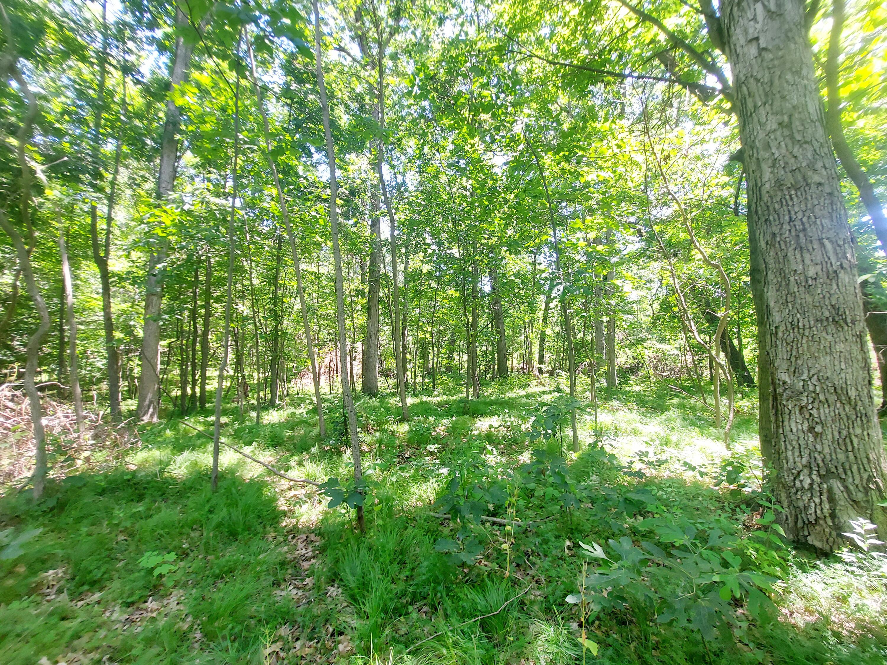 4 Limberlost Road Three Rivers, MI 49093 - Photo 6 of 9 20220627_134647