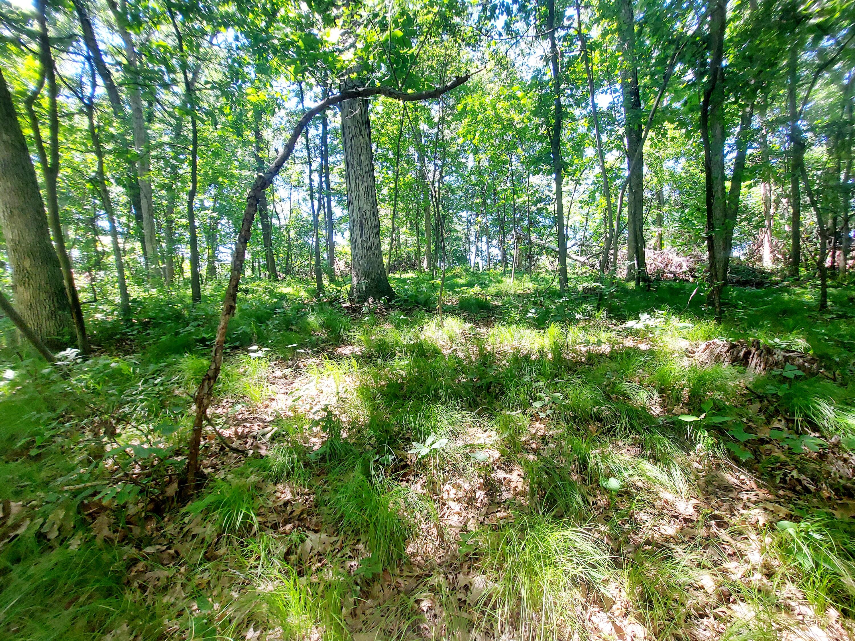 4 Limberlost Road Three Rivers, MI 49093 - Photo 7 of 9 20220627_135941
