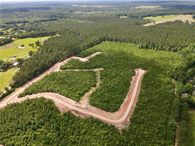 2 436th Highway Angie, LA 70426 - Photo 10 of 19