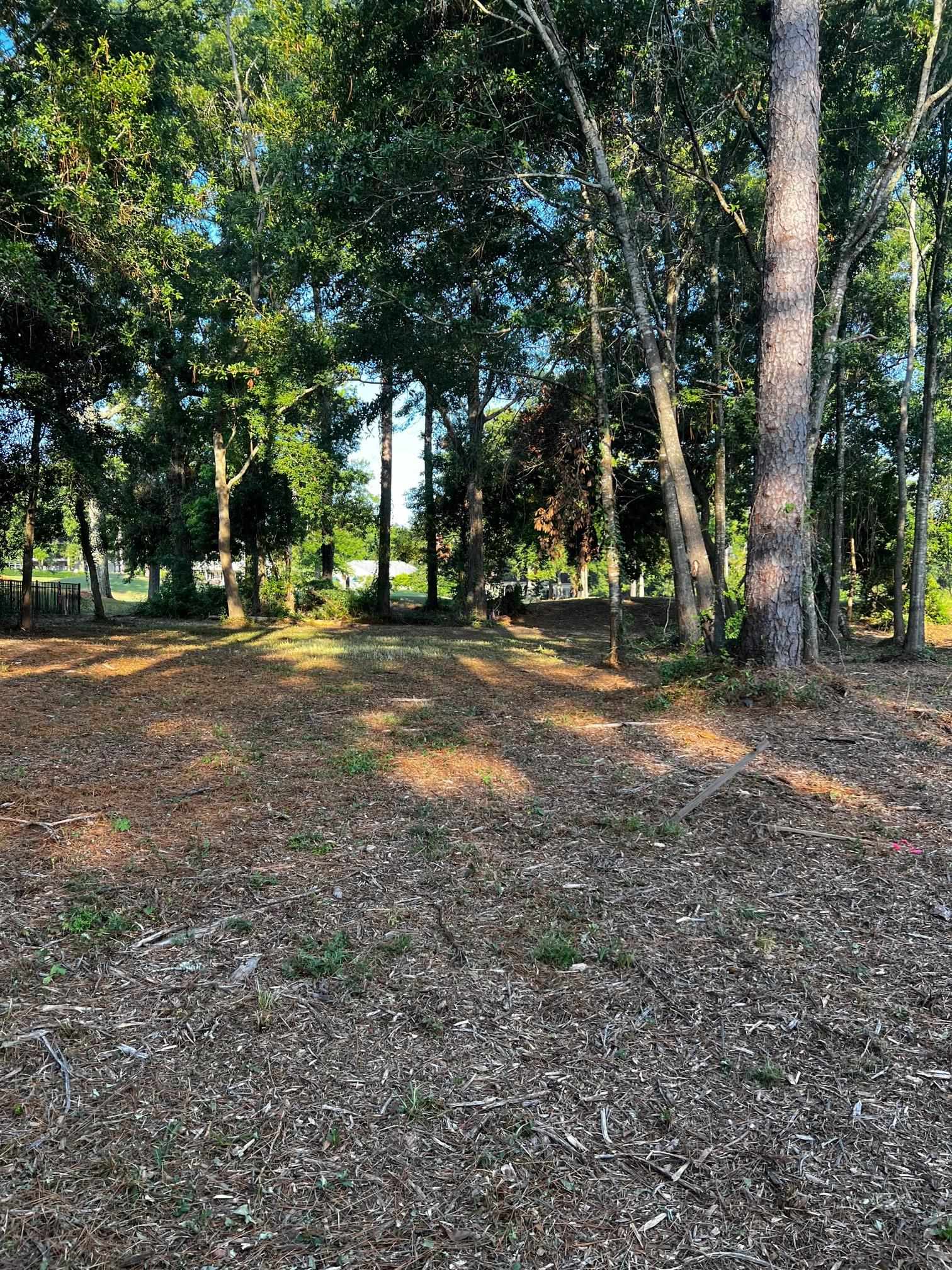 115 Augusta Court Fairhope, AL 36532 - Photo 4 of 12
