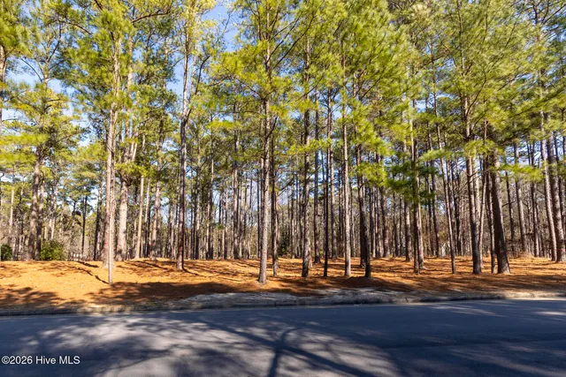$450,000 | 214 Meyer Farm Drive, Pinehurst, NC 28374