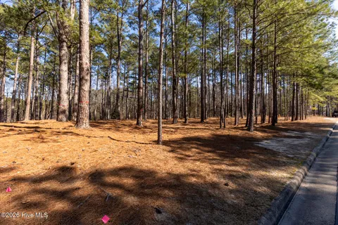 $450,000 | 214 Meyer Farm Drive, Pinehurst, NC 28374