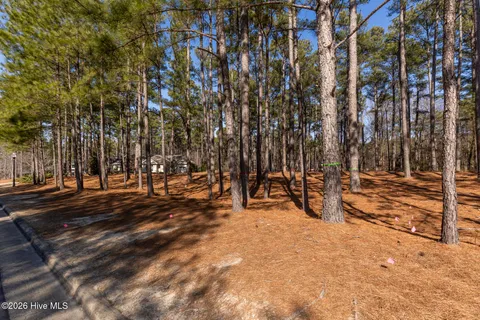 $450,000 | 214 Meyer Farm Drive, Pinehurst, NC 28374