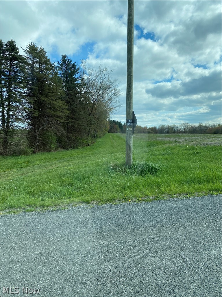 31335 Mckaig Road Hanoverton, OH 44423 - Photo 2 of 3 View of street