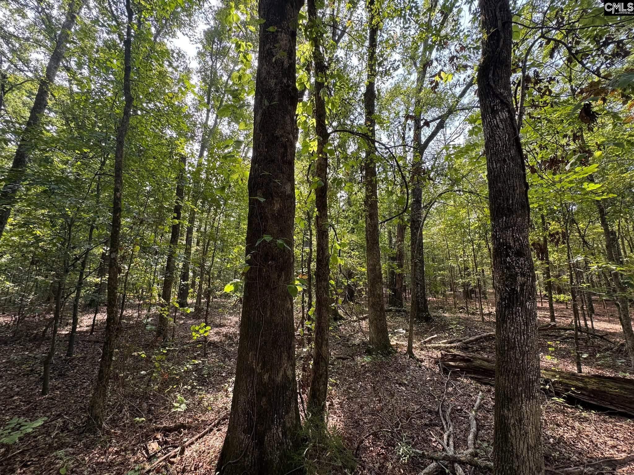 Pencreek Road Johnston, SC 29832 - Photo 47 of 59 Gallery Image 47