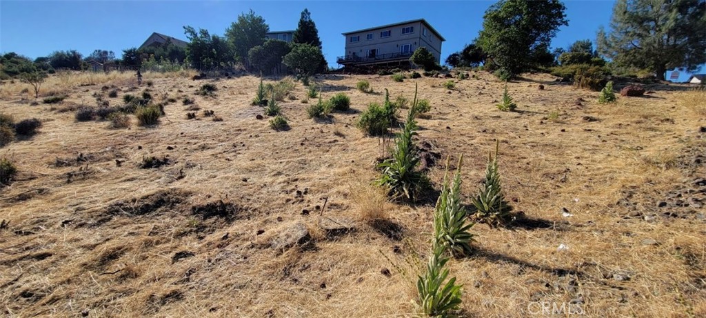 15965 Eagle Rock Road Hidden Valley Lake, CA 95467 - Photo 3 of 35 a view of a yard covered in snow with trees