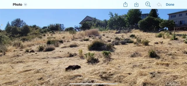 a view of a dry yard with trees and covered in the background