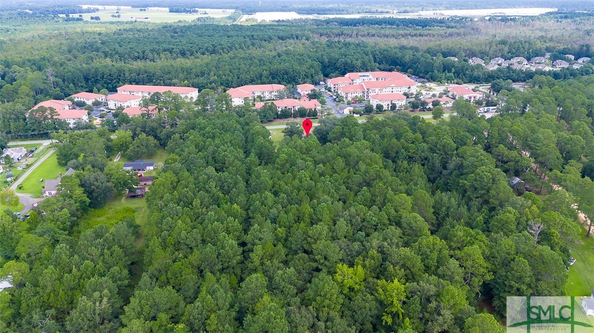 1325 Pine Barren Road Pooler, GA 31322 - Photo 7 of 42