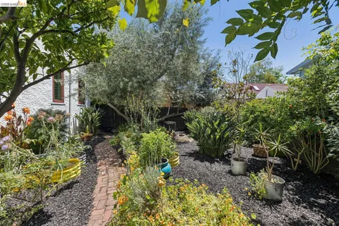 a view of a garden with plants