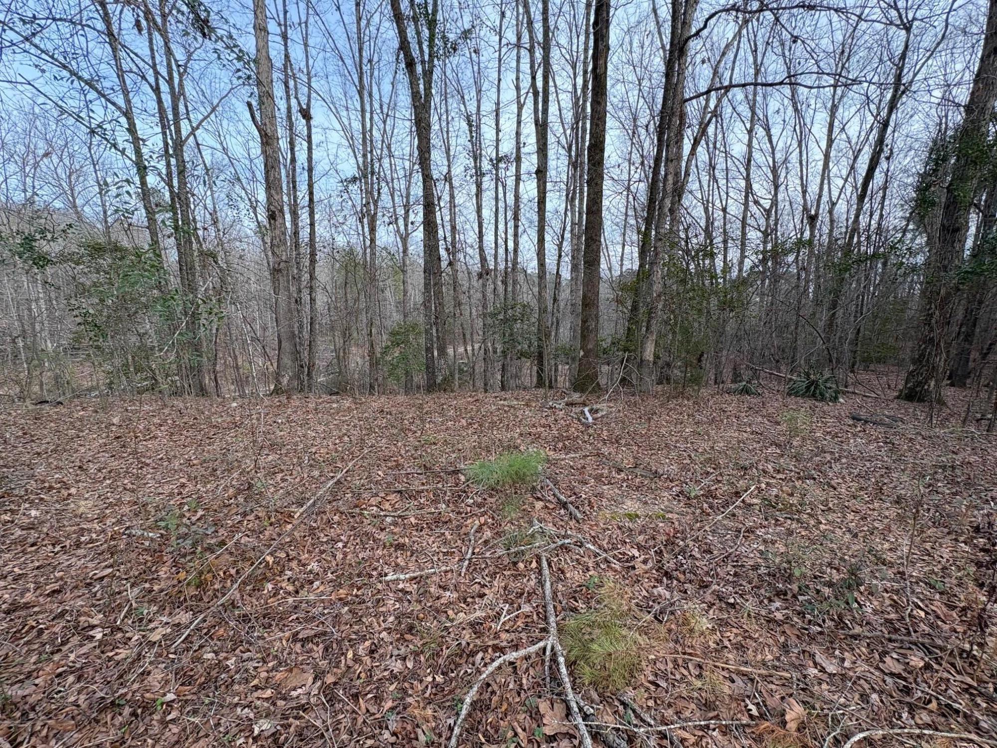 620 Hamilton Road Grovetown, GA 30813 - Photo 17 of 17 IMG_5265